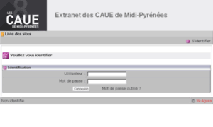Extranet.caue-mp.fr thumbnail