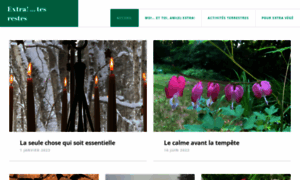 Extratesrestes.files.wordpress.com thumbnail