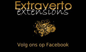 Extraverto.be thumbnail