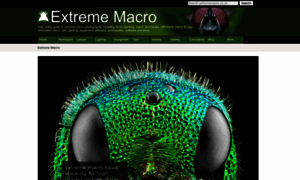 Extreme-macro.co.uk thumbnail