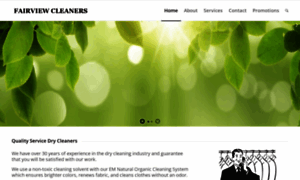 Fairviewcleaners.org thumbnail