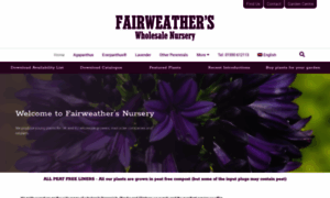 Fairweathersnursery.co.uk thumbnail