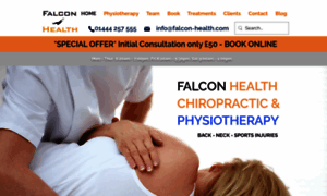 Falcon-health.com thumbnail