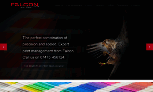 Falconprintmanagement.co.uk thumbnail