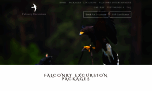 Falconryexcursions.com thumbnail