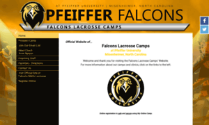 Falconslacrossecamps.com thumbnail