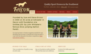 Falconsporthorses.co.uk thumbnail