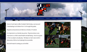 Falconsyouthsports.org thumbnail