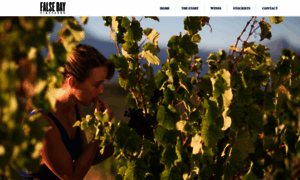 Falsebayvineyards.co.za thumbnail