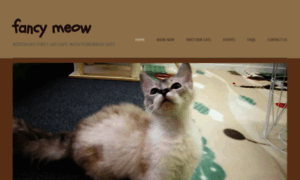 Fancymeowcatcafe.co.nz thumbnail