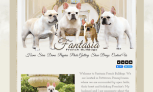 Fantasiafrenchbulldogs.com thumbnail