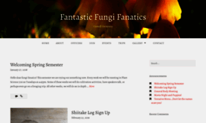 Fantasticfungifanatics.wordpress.com thumbnail