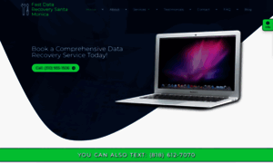 Fastdata-recovery.com thumbnail