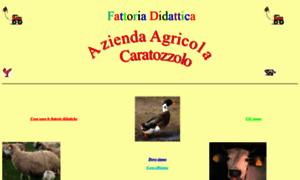 Fattoriadidatticacaratozzolo.it thumbnail