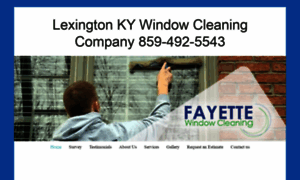 Fayettewindowcleaning.com thumbnail