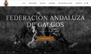 Federacionandaluzadegalgos.com thumbnail