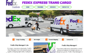 Fedex.expresstranscargo.com thumbnail