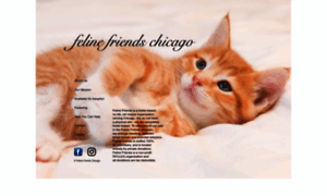 Felinefriendschicago.org thumbnail