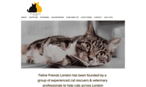 Felinefriendslondon.uk thumbnail