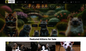 Felines4us.com thumbnail