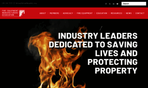 Femalifesafety.org thumbnail