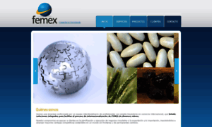 Femex.com.ar thumbnail