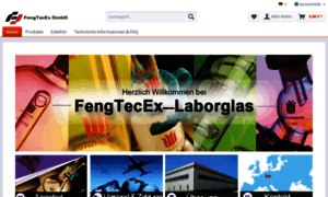 Fengtecex-laborglas.de thumbnail