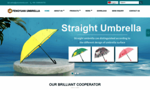 Fengyuanumbrellas.com thumbnail