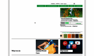 Fenice.com thumbnail