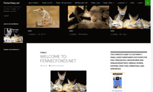 Fennecfoxes.net thumbnail