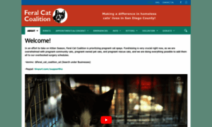 Feralcat.com thumbnail