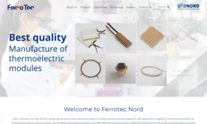 Ferrotec-nord.com thumbnail