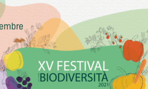 Festivalbiodiversita.it thumbnail