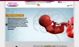 Fetalmedicineindia.in thumbnail