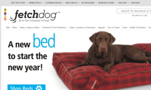 Fetchdog.com thumbnail