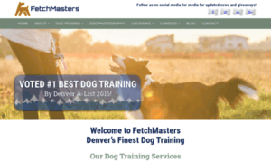 Fetchmasters.com thumbnail