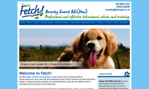 Fetchpets.co.uk thumbnail