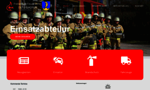 Feuerwehr-dettighofen.de thumbnail