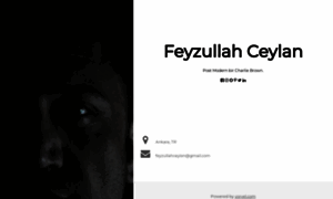 Feyzullahceylan.com thumbnail