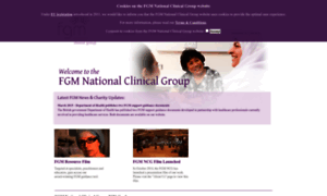 Fgmnationalgroup.org thumbnail