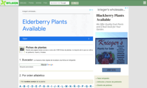 Fichas.infojardin.com thumbnail