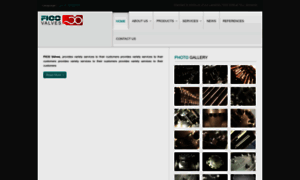 Ficovalves.com thumbnail