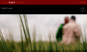 Fieldcrops.cals.cornell.edu thumbnail