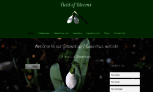 Fieldofblooms.ie thumbnail