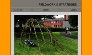 Fieldworkandstrategies.com thumbnail