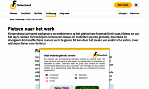 Fietsennaarhetwerk.nl thumbnail