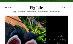 Figlife.com thumbnail