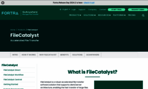 Filecatalyst.com thumbnail