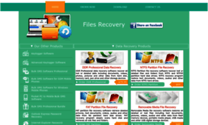 Filesrecovery.org thumbnail