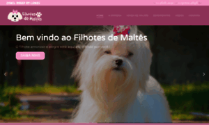 Filhotesdemaltes.com.br thumbnail